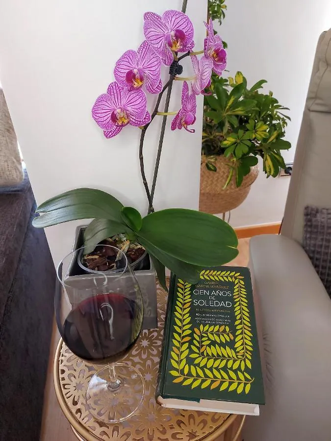 Apartamento Las Floritas Málaga